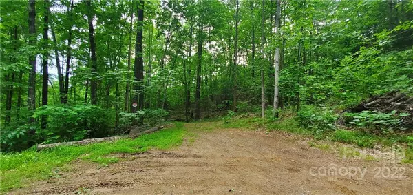 Union Mills, NC 28167,0 Lower Switchback RD #12