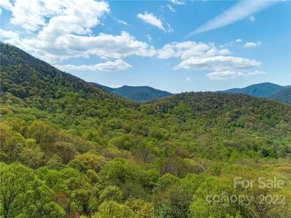 Lot 21 and 22 Dogwood DR, Maggie Valley, NC 28751