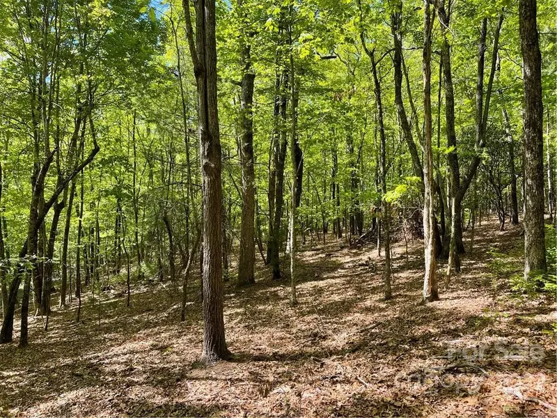 Lot J-103 Mulberry CIR #J-103, Brevard, NC 28712