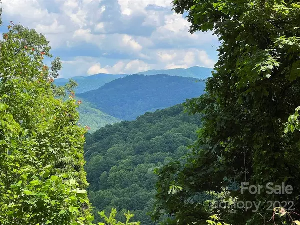 Mars Hill, NC 28754,99999 Henry Clay CV