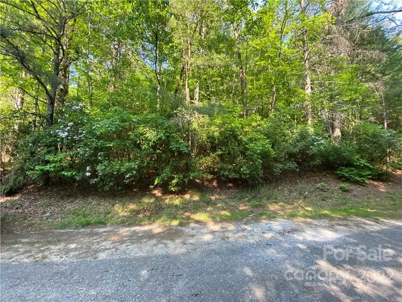 TBD Tsvwagi CT #2, Brevard, NC 28712