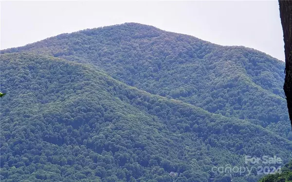 Maggie Valley, NC 28751,11 Trout Lily LN #11