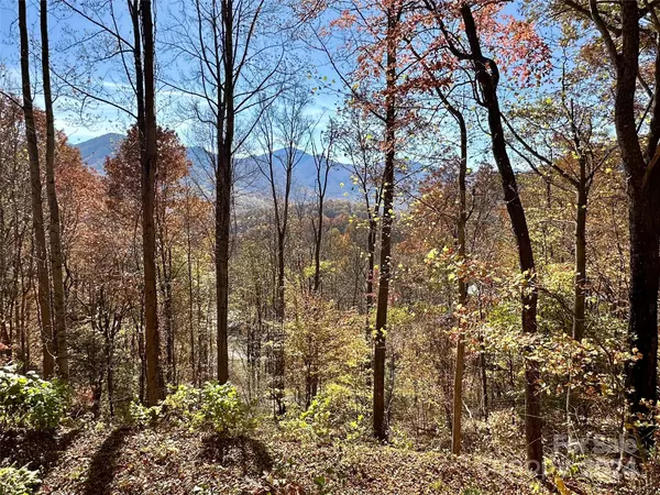 11 Trout Lily LN #11, Maggie Valley, NC 28751