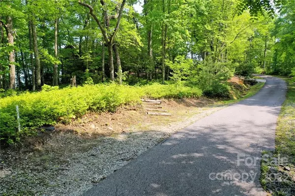 Tuckasegee, NC 28783,Lot 633 Steeplebush CT