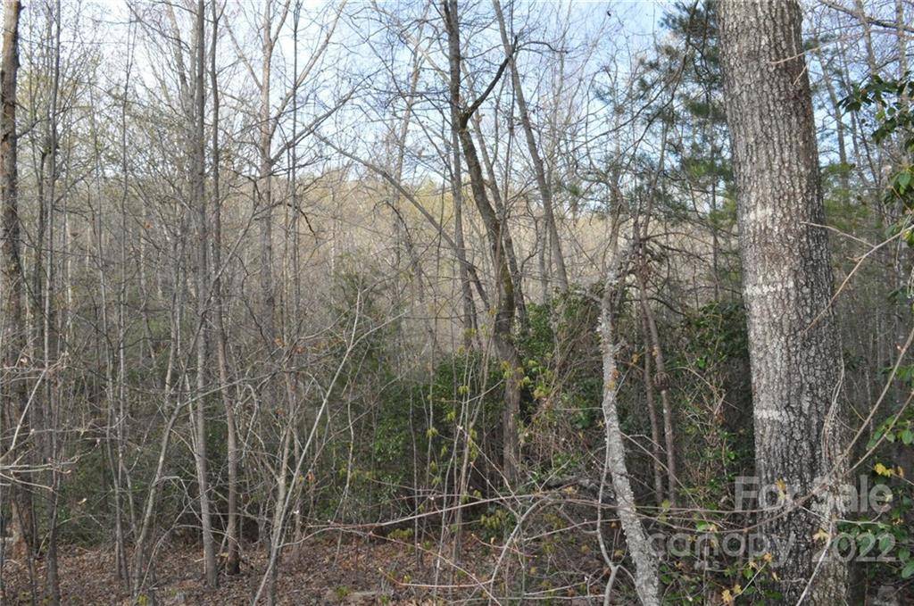 0 Wellesley DR #841, 839 & p/o 838, Landrum, SC 29356