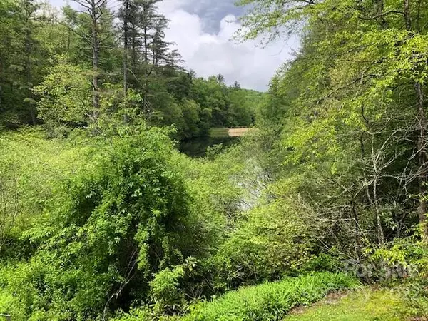 Lake Toxaway, NC 28747,171 Myers DR