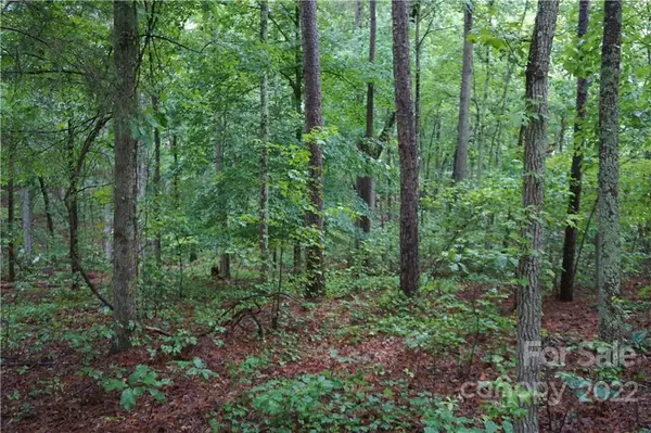 Smyrna, SC 29743,7 +/- Ac #1 Rock Cut RD #1