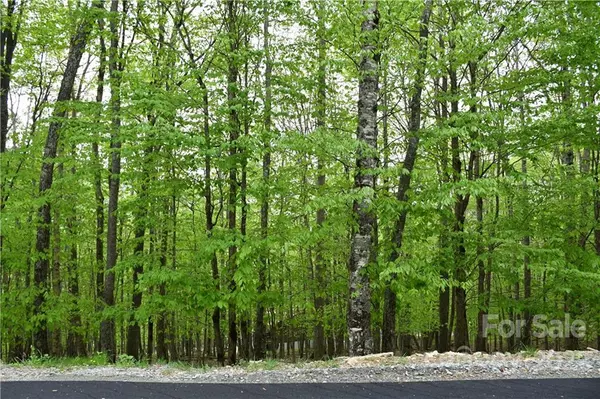 Beech Mountain, NC 28604,153 Hornbeam RD #B/115