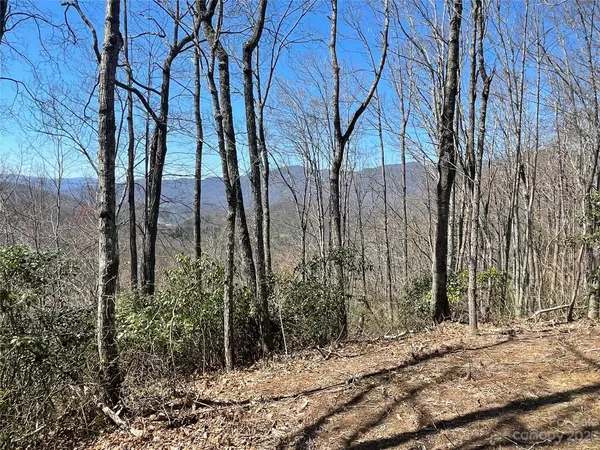 Sylva, NC 28779,91 Broomtail WAY #14