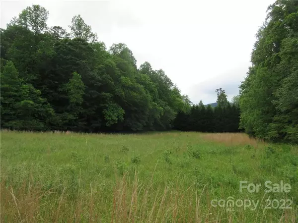 Lot 39 Laurel Lakes Pkwy, Lake Lure, NC 28746