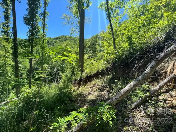 Marshall, NC 28753,421 Jass Cove RD