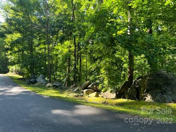 0000 Cascada Vista DR #24, Chimney Rock, NC 28720