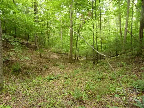 Hot Springs, NC 28743,00 Indian TRL
