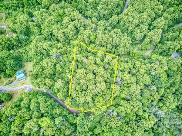 Waynesville, NC 28785,Lot #606 Cloud RDG