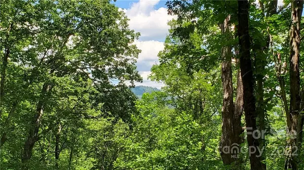 Tryon, NC 28782,2100 Hogback Mountain RD