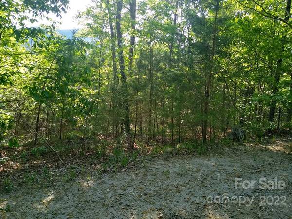 Lake Lure, NC 28746,Lot 221 Davids DR