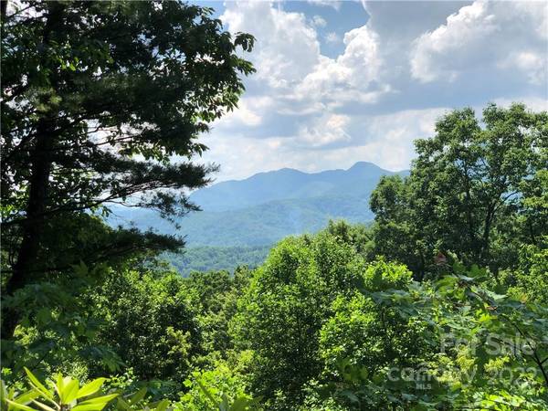 14 Majestic Overlook WAY #51, Candler, NC 28715