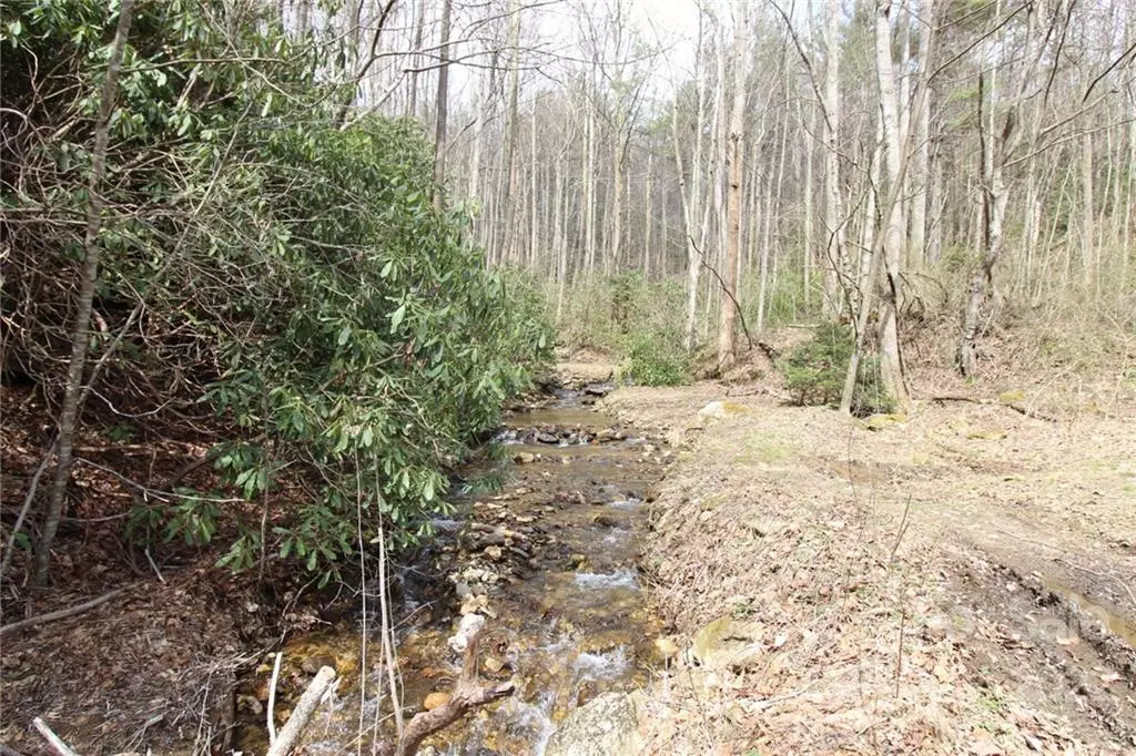 Deep Gap, NC 28607,000 Patton Ridge RD