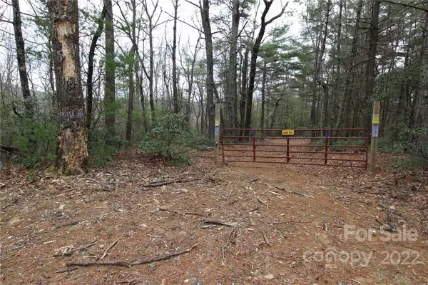 Deep Gap, NC 28607,000 Patton Ridge RD