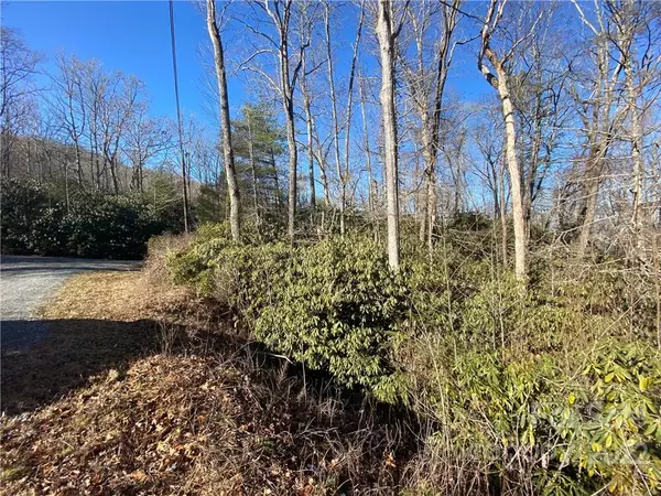 Pisgah Forest, NC 28768,TBD Pisgah Forest DR #10