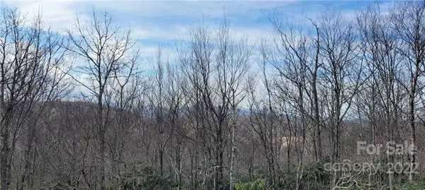 Boone, NC 28607,TBD Algonquin DR #49