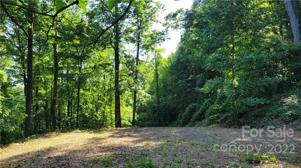 Marion, NC 28752,Lot 67 Mountain Crest DR S