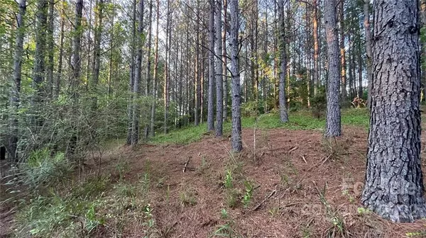 Rutherfordton, NC 28139,0 Clearwater Pkwy #20