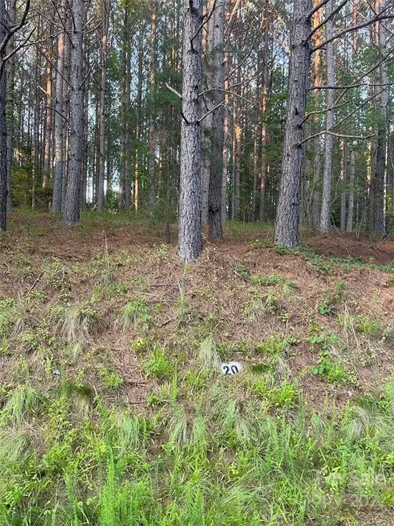 Rutherfordton, NC 28139,0 Clearwater Pkwy #20