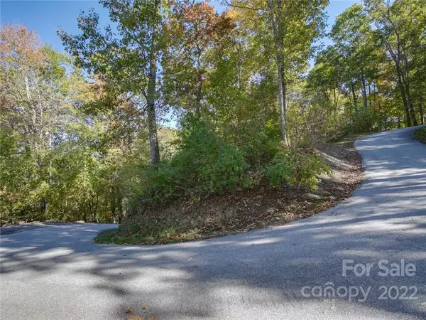 Tuckasegee, NC 28783,Lot 232 Crossvine DR #232