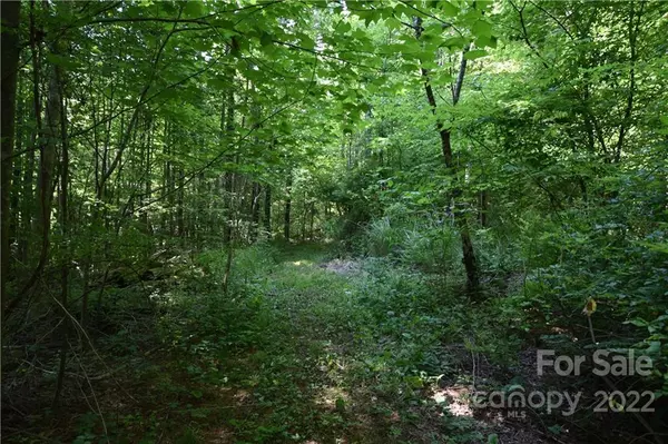 Spruce Pine, NC 28777,00 Thompson RD