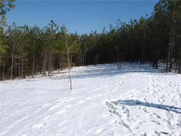 Mill Spring, NC 28756,0 Ashley CT #4