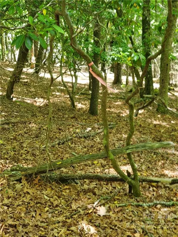 Horse Shoe, NC 28742,9999 Hall RD