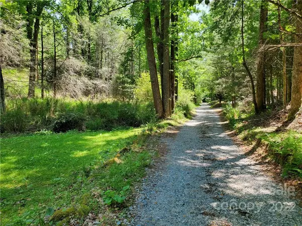 Horse Shoe, NC 28742,9999 Hall RD