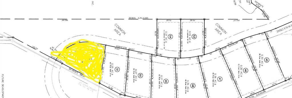 Woodfin, NC 28804,64 River Walk DR #52