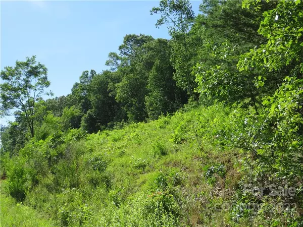 0 Piney Knob RD, Rutherfordton, NC 28139