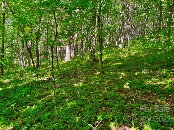 Newland, NC 28657,0 Buchanan TRL #1