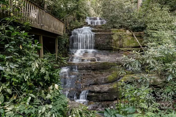 Bat Cave, NC 28710,491 Hemlock Falls TRL