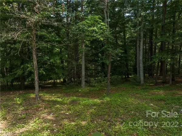 Horse Shoe, NC 28742,29 Bryon Forest LN