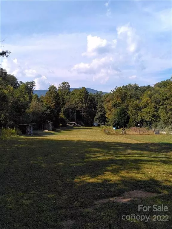 Mill Spring, NC 28756,3600 Lake Adger RD