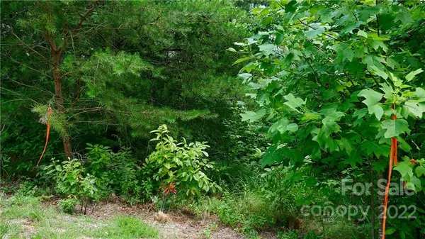 Marshall, NC 28753,TBD Firefly TRL #78