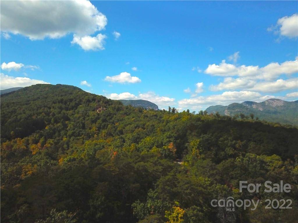 Lake Lure, NC 28746,0 Lure Ridge DR #4
