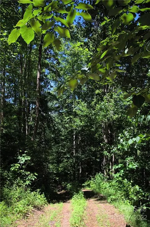 Hot Springs, NC 28743,145 Raspberry LN