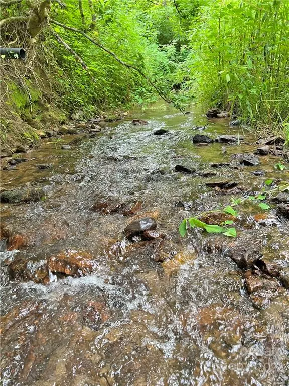 Hot Springs, NC 28743,809 Poplar Gap RD
