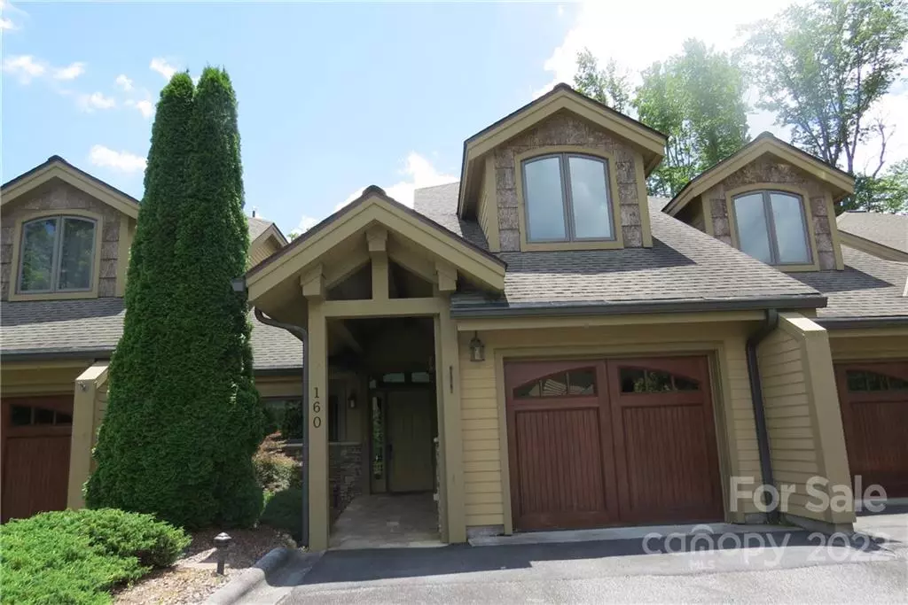 Banner Elk, NC 28604,160 Bear Cub LN #202