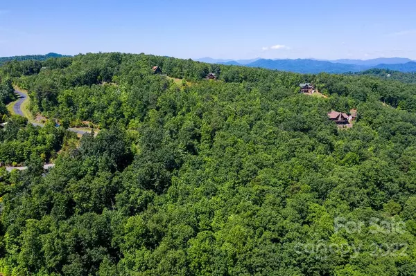 Dysartsville, NC 28761,Lot 211 Scenic Overlook DR