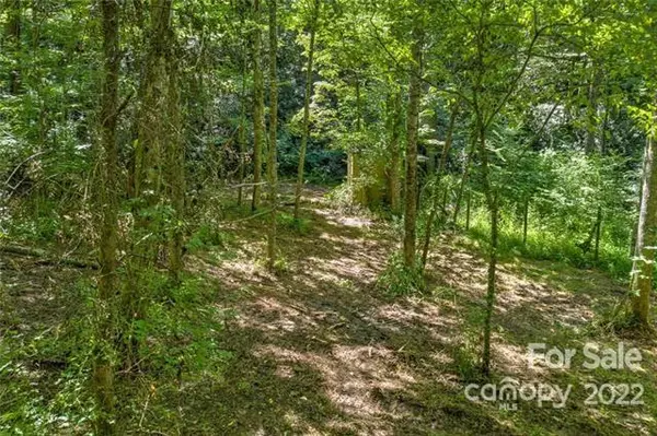 Fairview, NC 28730,99999 Shady Brook LN #1A, 1B