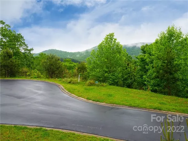 LOT 132 & 133 Watershed WAY, Horse Shoe, NC 28742