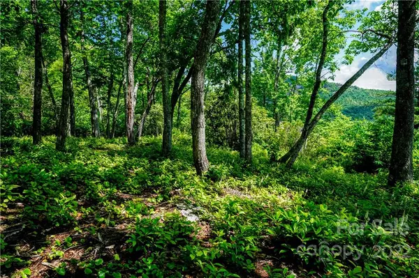 Lake Toxaway, NC 28747,Lot 97 Mills Creek PT #TM V 97