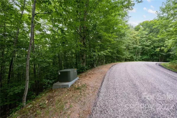 Arden, NC 28704,518 Blue Mist WAY #166A