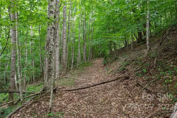 Arden, NC 28704,518 Blue Mist WAY #166A